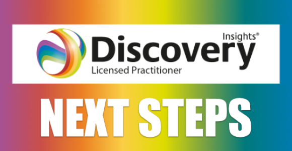   Insights Discovery Next Steps